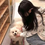 飞狐q传官方版下载